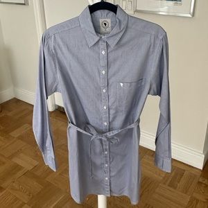 Aritzia Oxford Shirt Dress